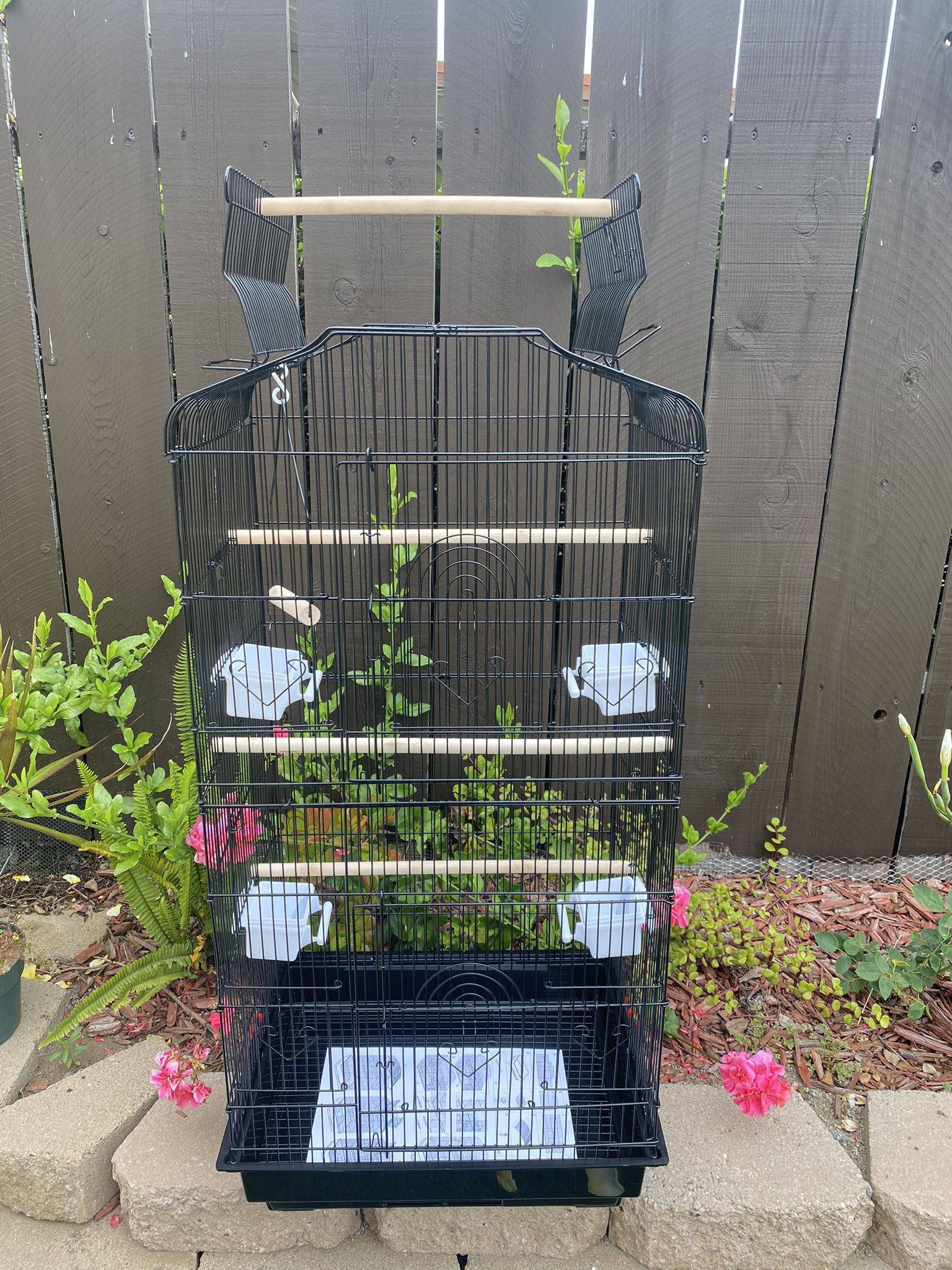 Birds Cage