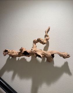 Driftwood Branch Decor