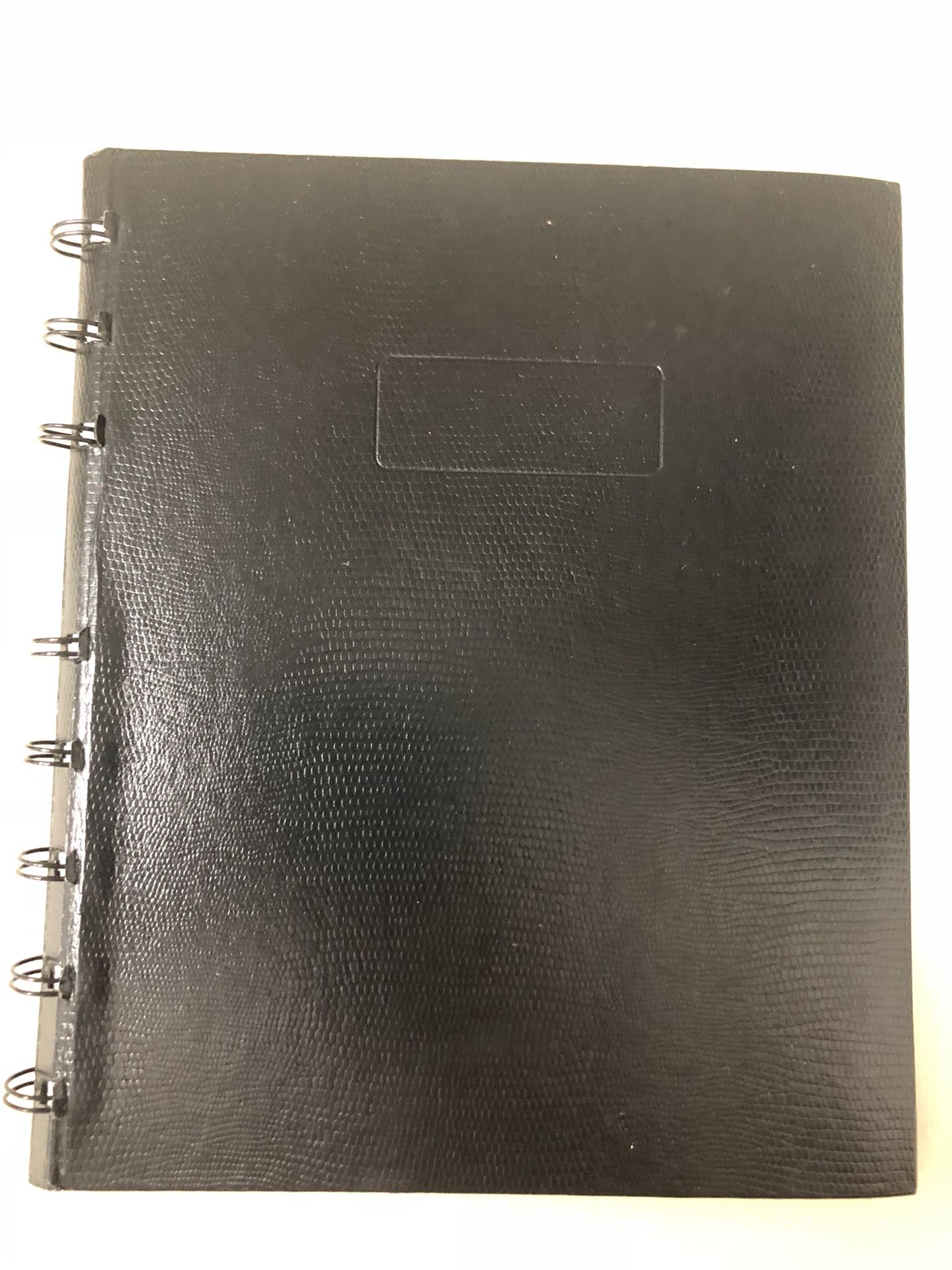 Blue line daily planner