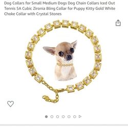Golden Dog Collars Chain Collar For Small And Medium Dog
