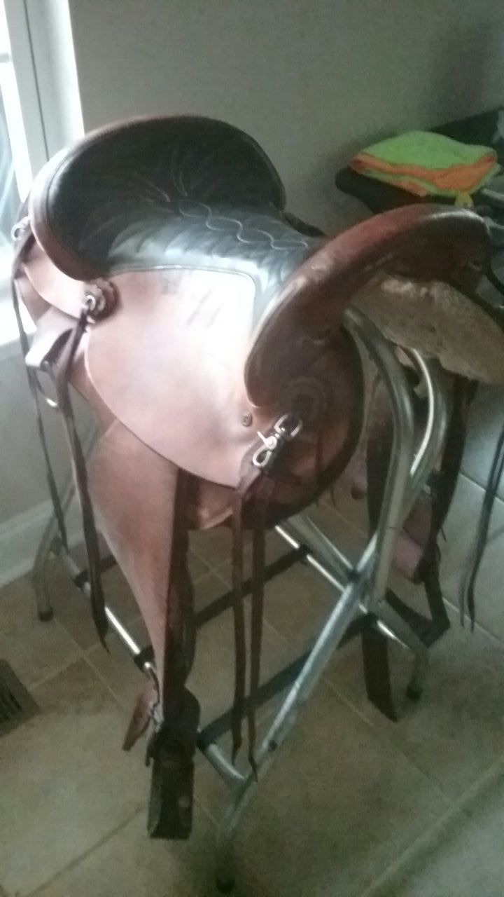 16" Bighorn Endurance saddle model #801