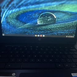 HP Chromebook 14