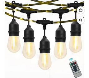 Westing house string lights