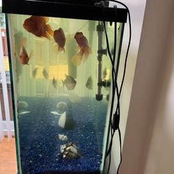 Fish Tank And Stand