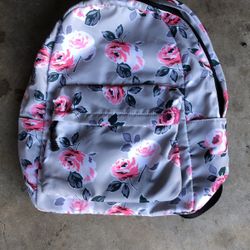 Brand New Backpack With Computer Case
