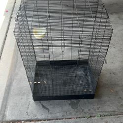 Bird Cage 