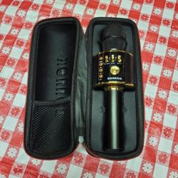 Banaok Karokye Microphone 