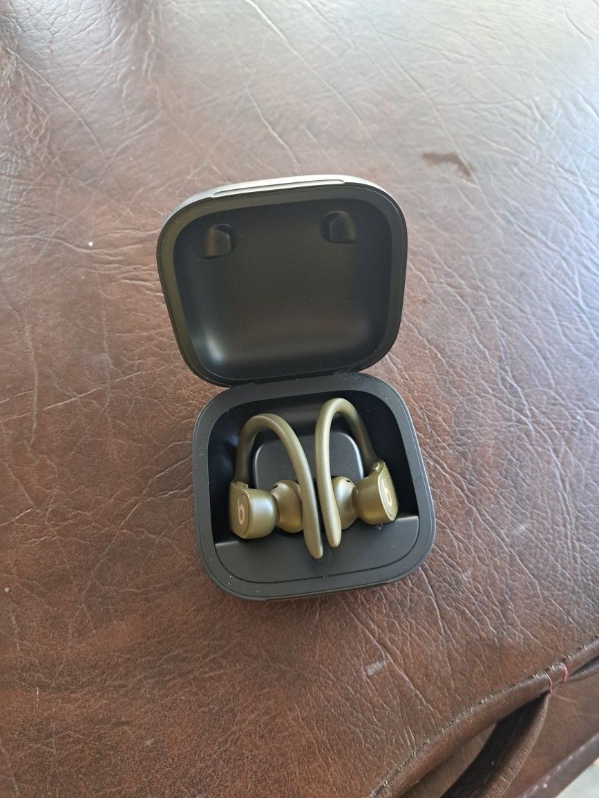 Beats Pro