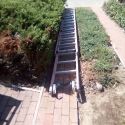 Ladder
