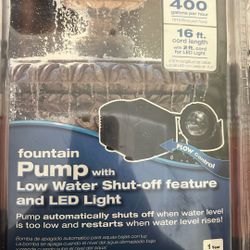 Fountain pump 
