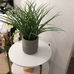 Planta Artificial