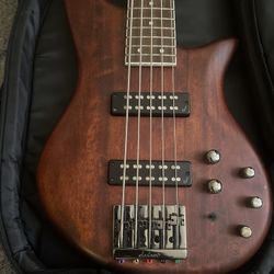 5 Strings Bass Guitars 