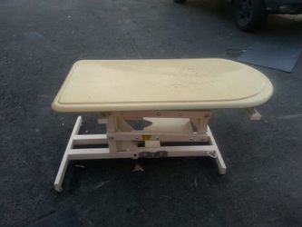Professional dog grooming table