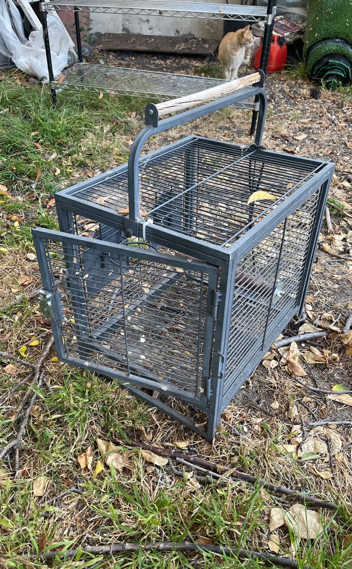 Jaula Para Perico