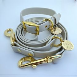 Biothane Waterproof Leash and Collar Set