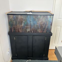 Reptile Enclosure 