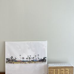 Venice Beach Photograph 