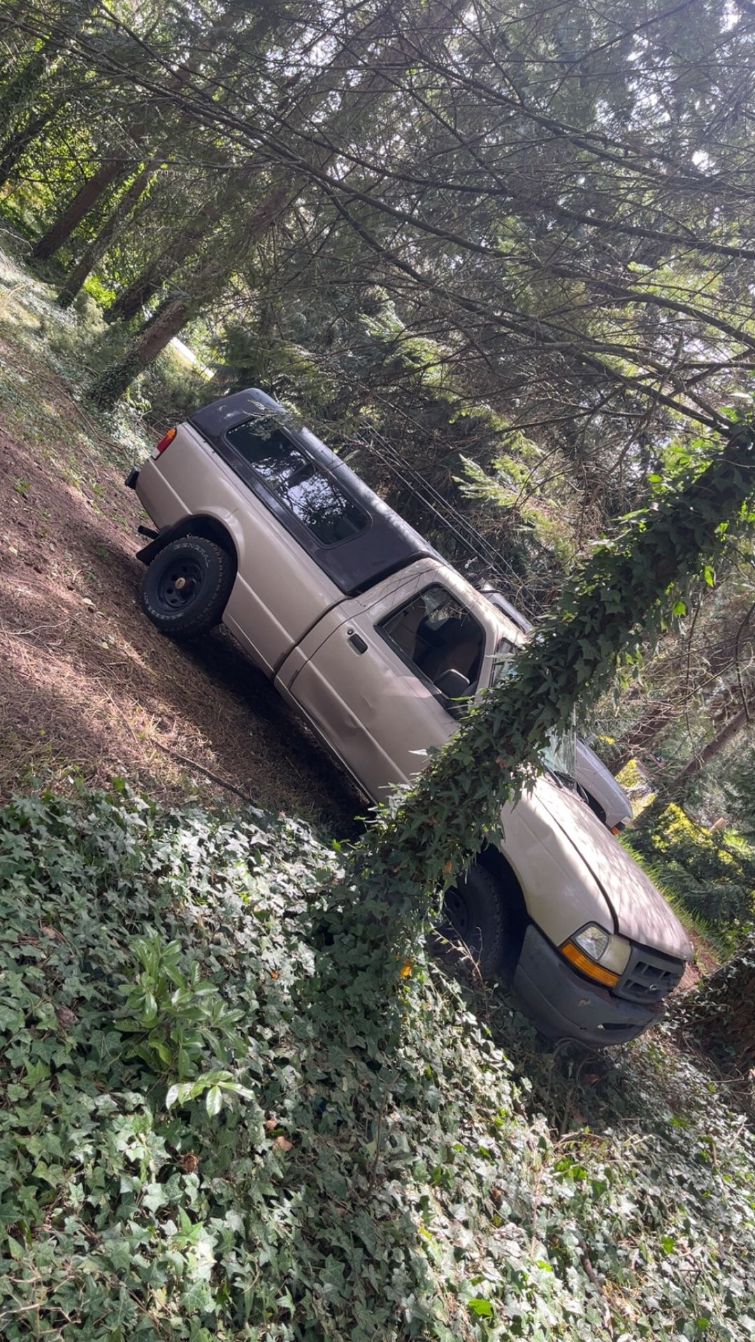 Ford Ranger Trade
