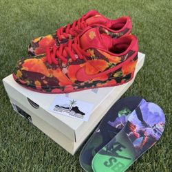 Nike Dunk Low SB Wizard Of Oz Size 10 & 11.5