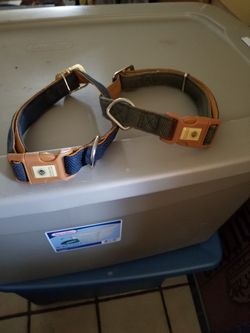 Large dog collars