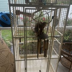 Bird Cage (animal)