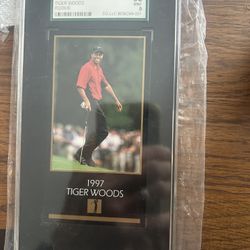 Tiger Woods 