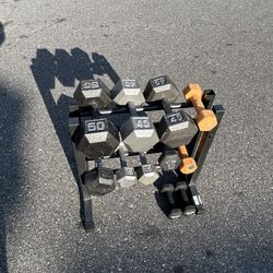 225LB Dumbbell Set + Gold’s Gym Rack Complete Home Gym Iron Hex Weights