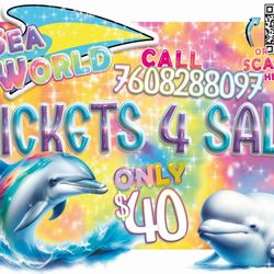 SEAWORLD SAN DIEGO Single Day 