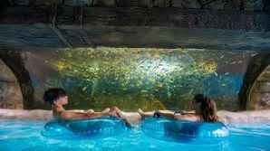 Aquatica Tickets 