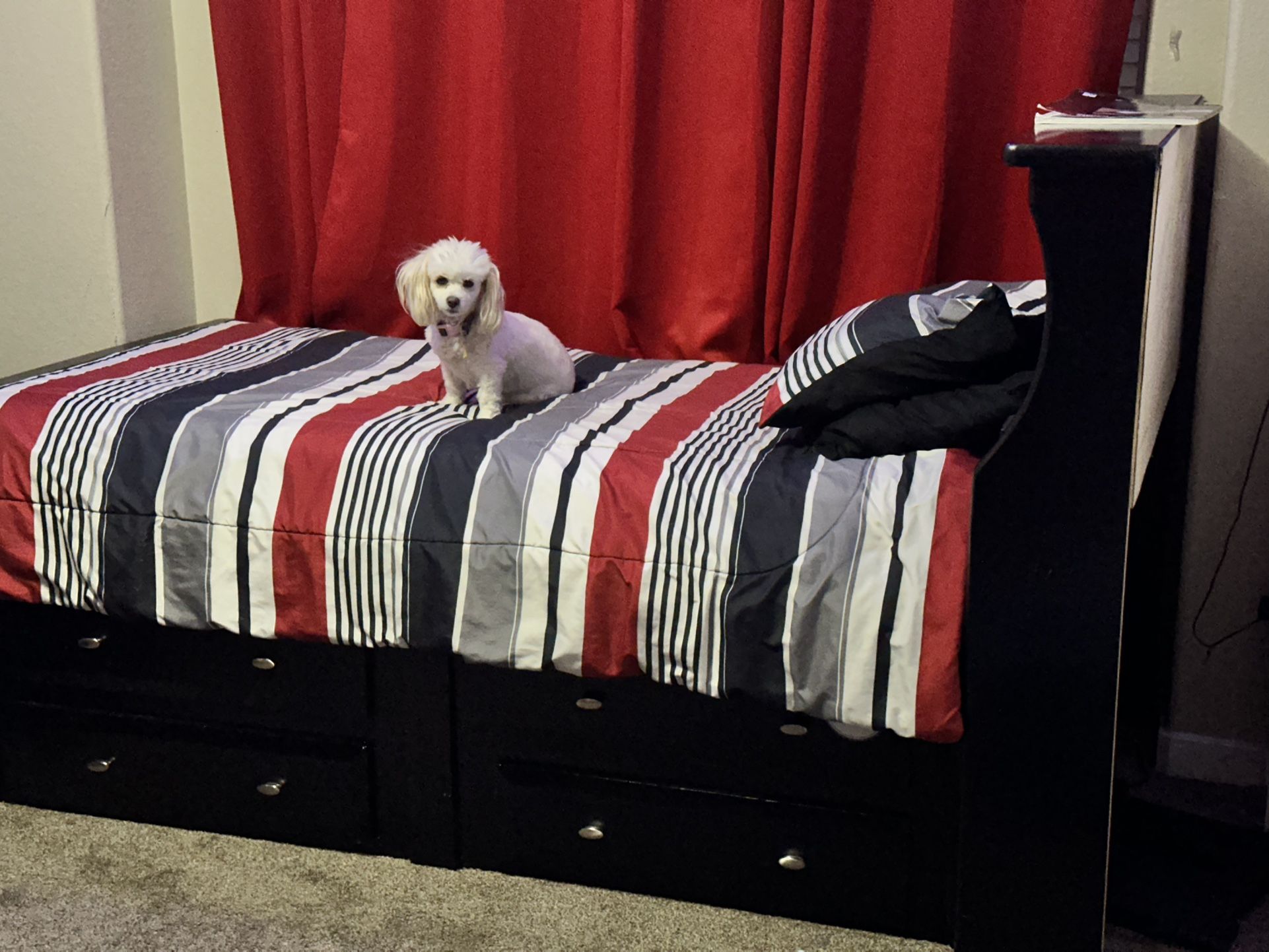 Twin Beds , Dresser,( And Book Shelf All Matching…