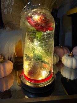 Baby yoda in a rose acrylic dome