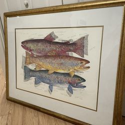 Painting - Three Brown Trout - Klatt Print 