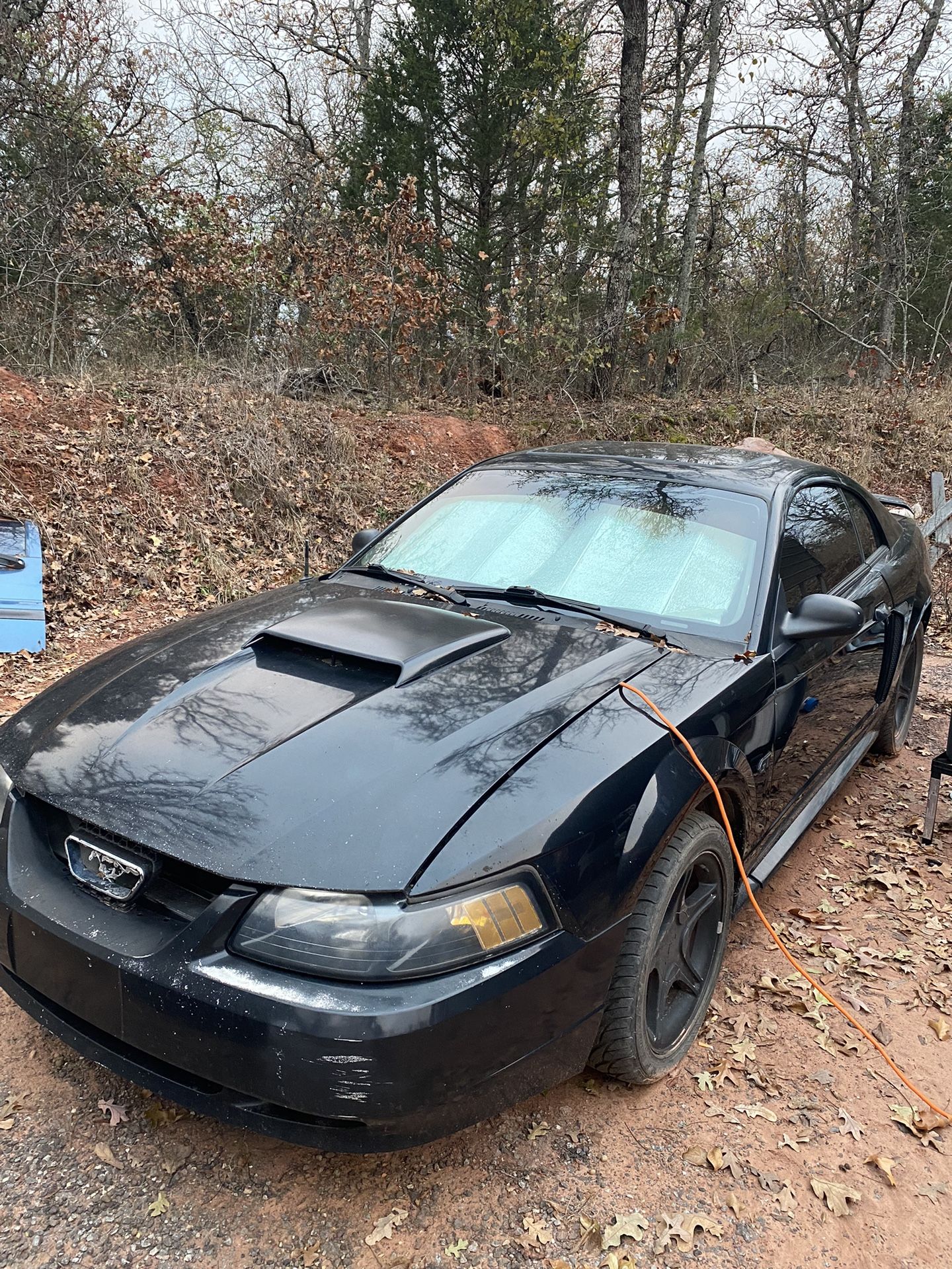 2002 Ford Mustang