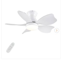 Ceiling Fan