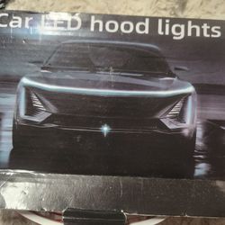 Led Hood Lights