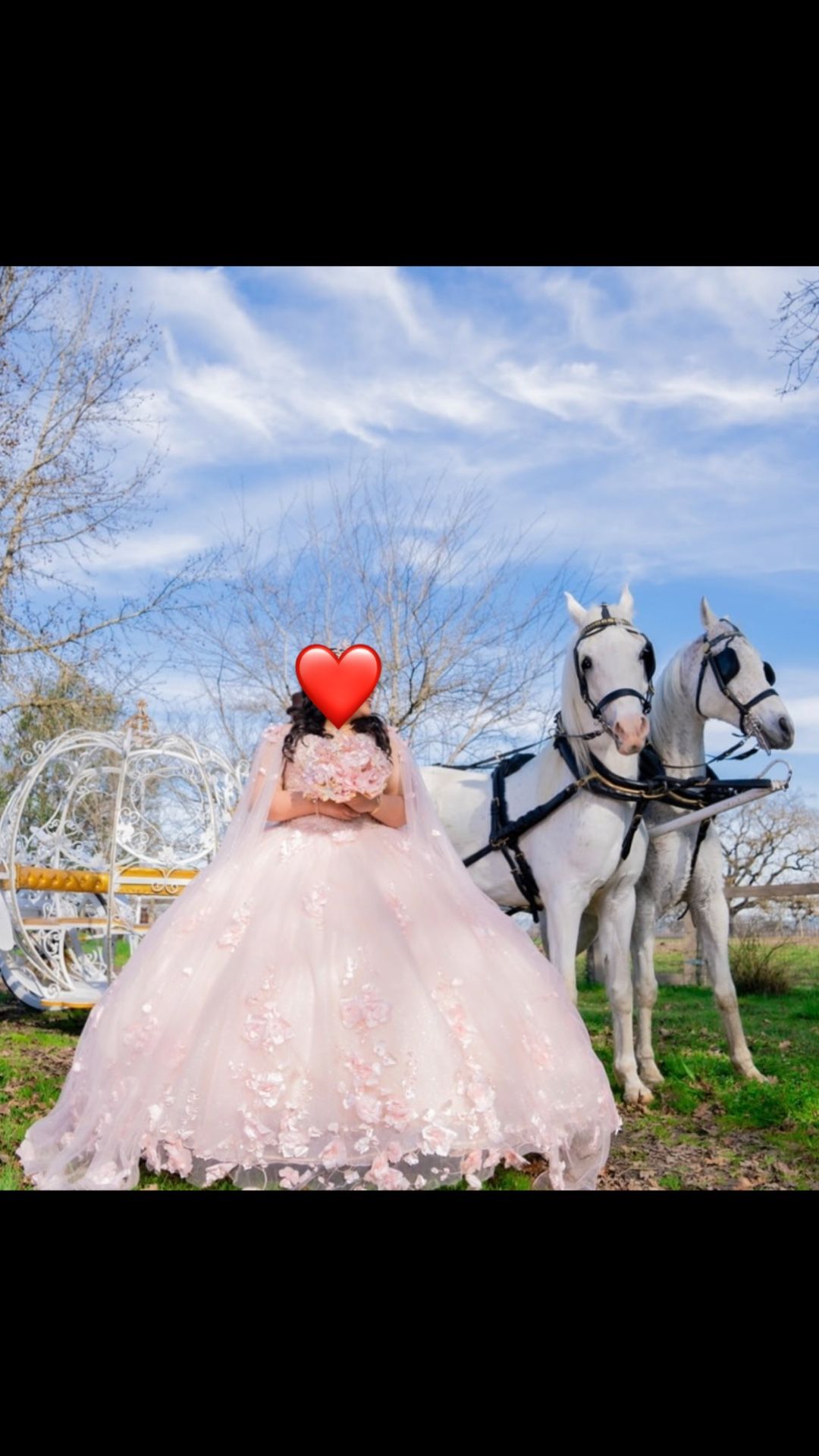 Quinceanera Dress 