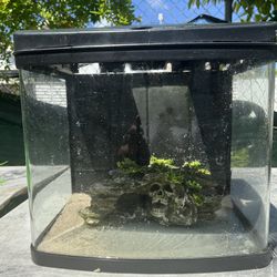 Bio Cube Fish Tank 