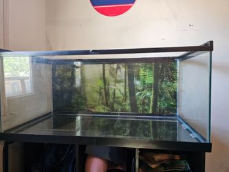 LIZARD Fish tank