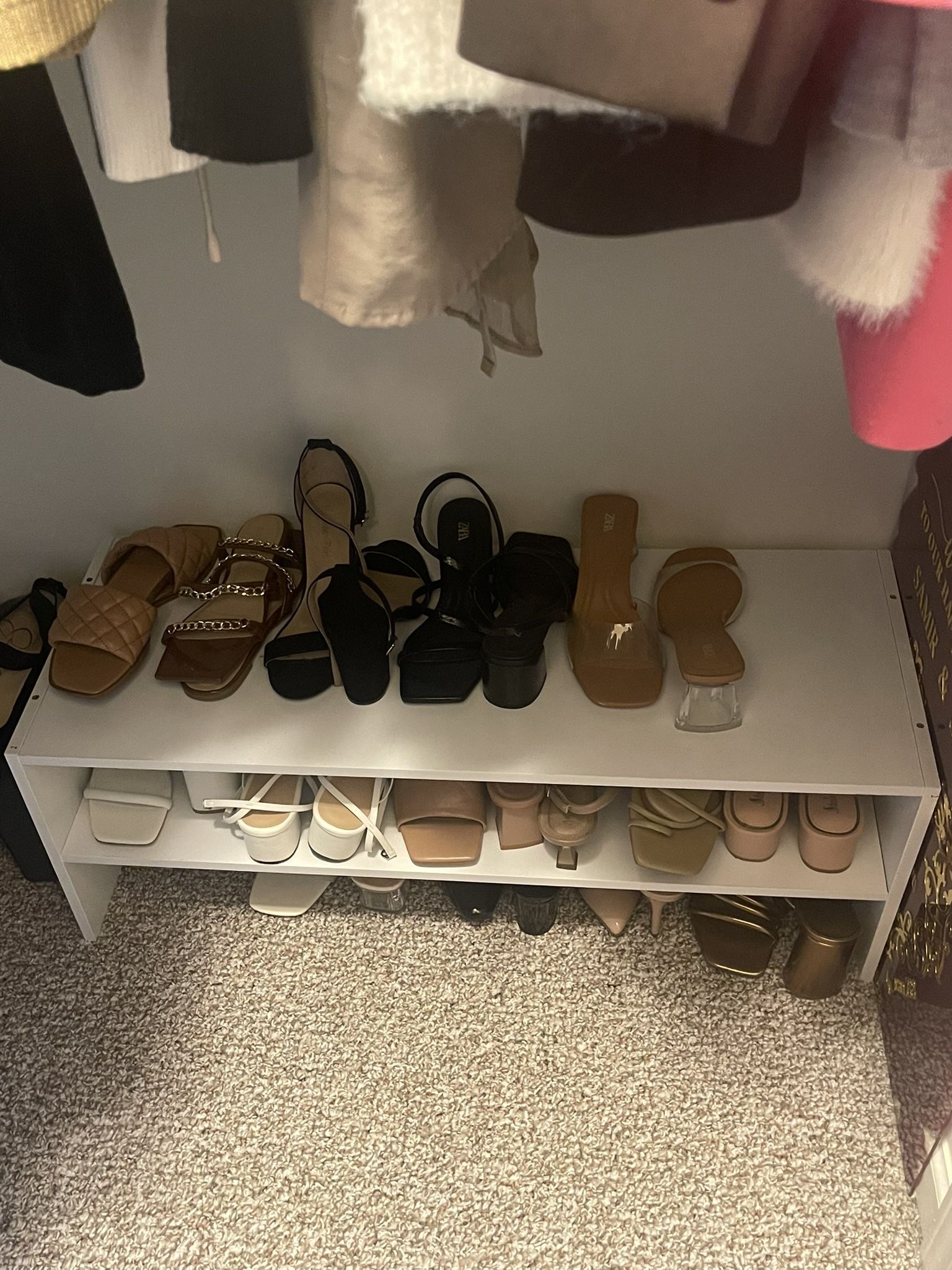 Shoe Shelf Organizer