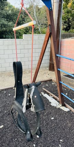 Playground Horse Swing