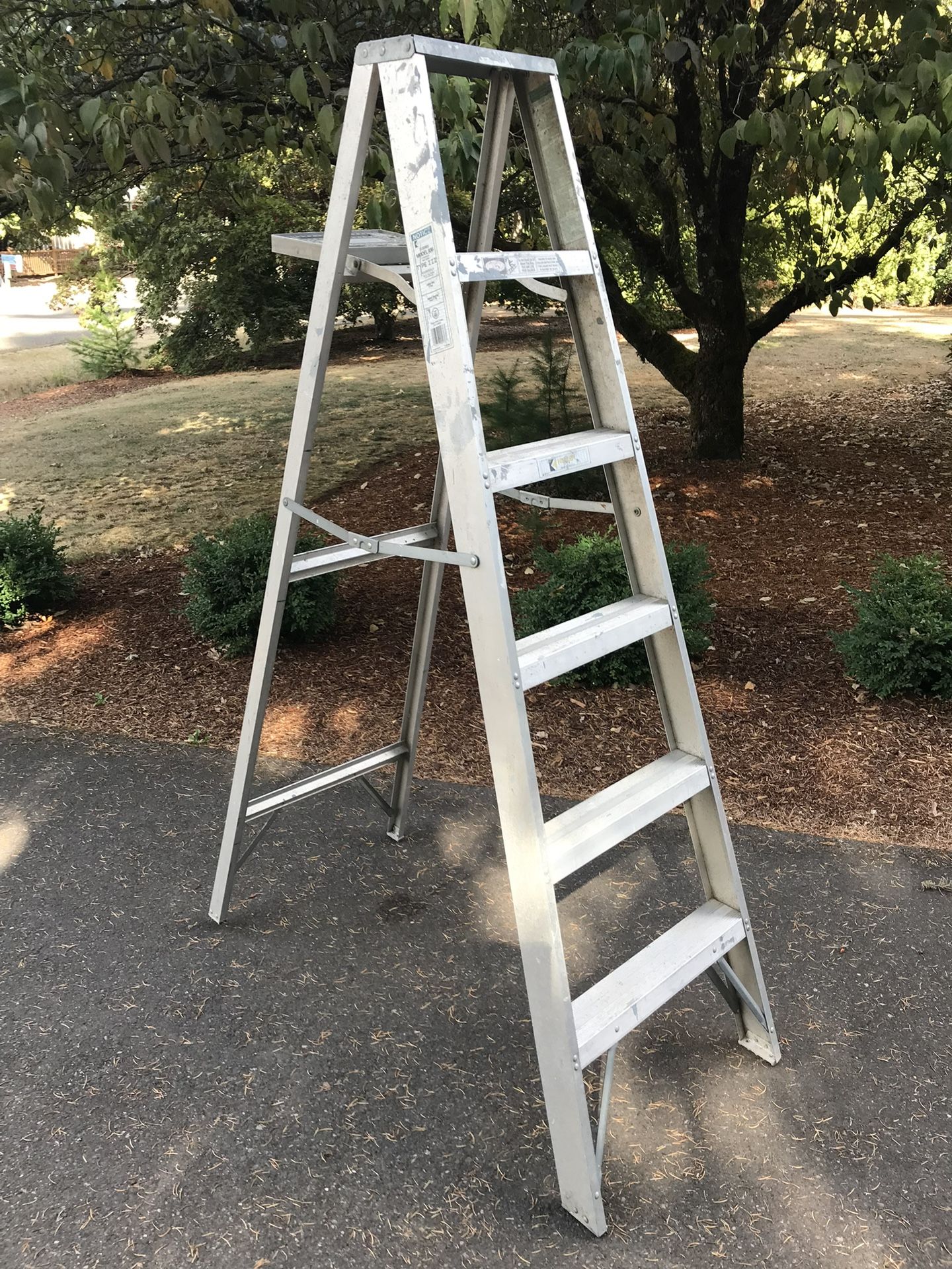6ft step ladder