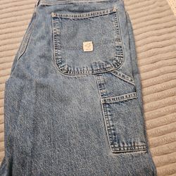 Carpenter Pants 34"×34"