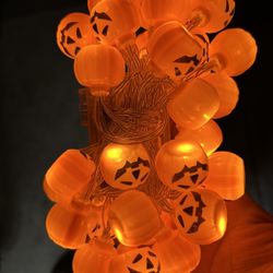 Led string lights battery operated.