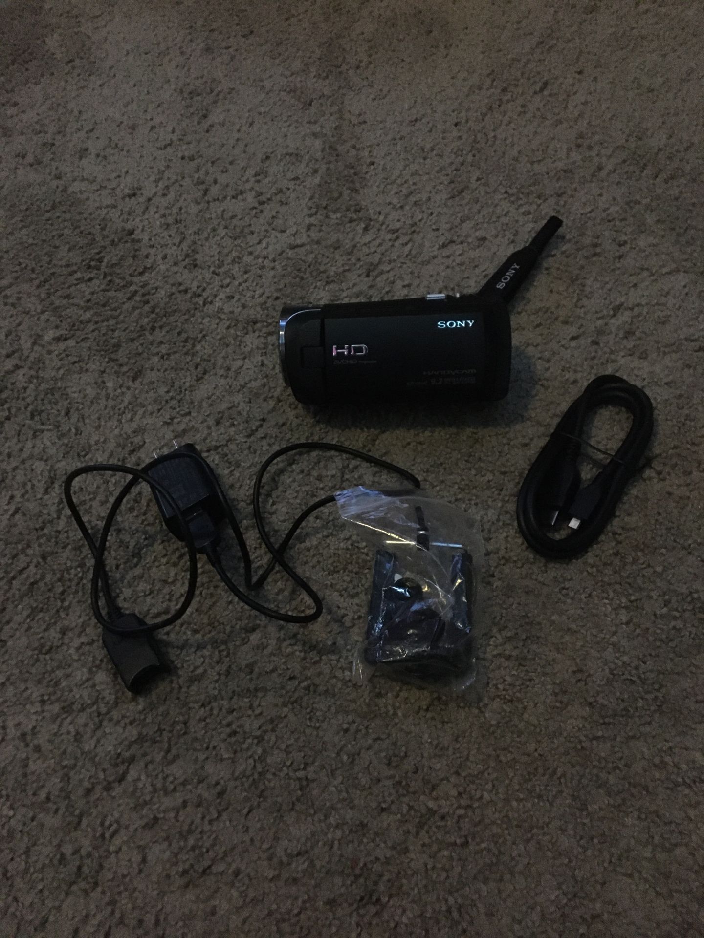 Sony Handycam HDR-CX440