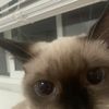 Mizy
