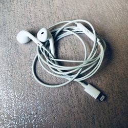 Apple EarPods 🍎