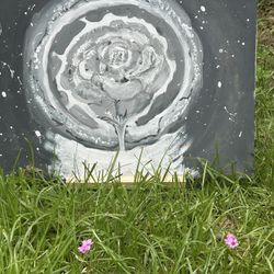 The Light Growing In Darkness