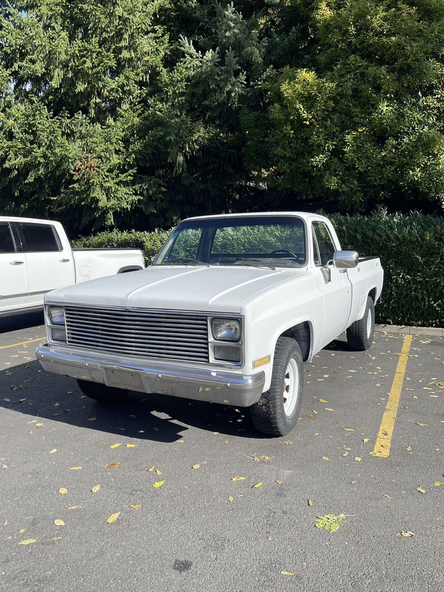 1984 Chevrolet C20