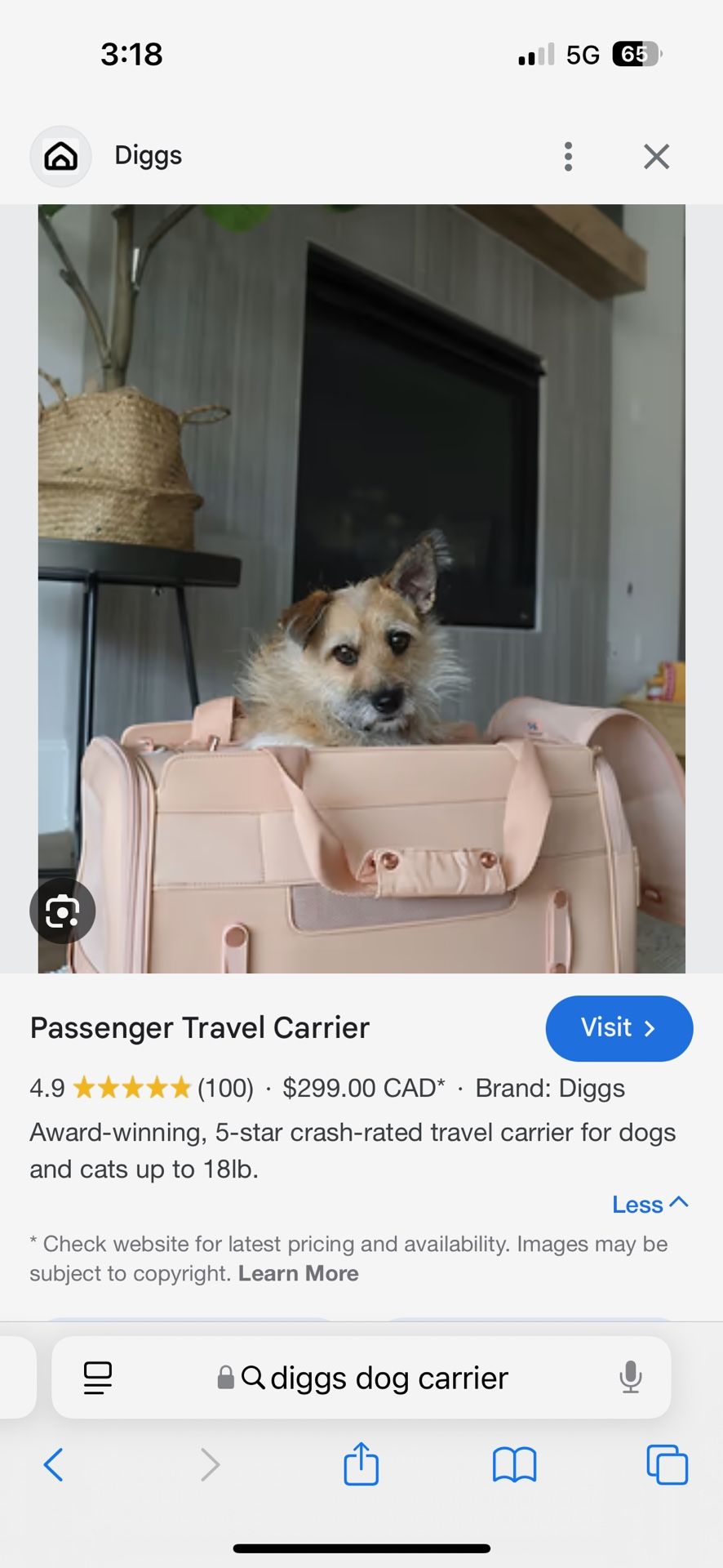 DIGGS PET CARRIER. $70
