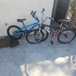 20"/18"bikes Tommy Hanks Filly And Magna Sport 
